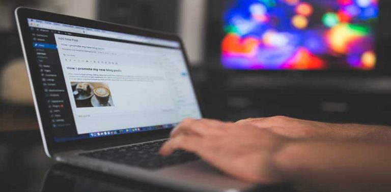 Wprdpress themes and plugins